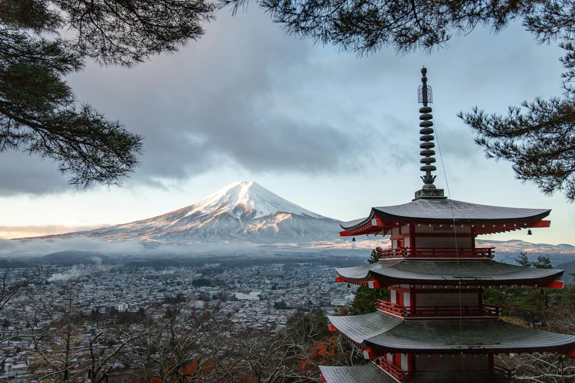 Japan Cherry Blossom & Mount Fuji Photography