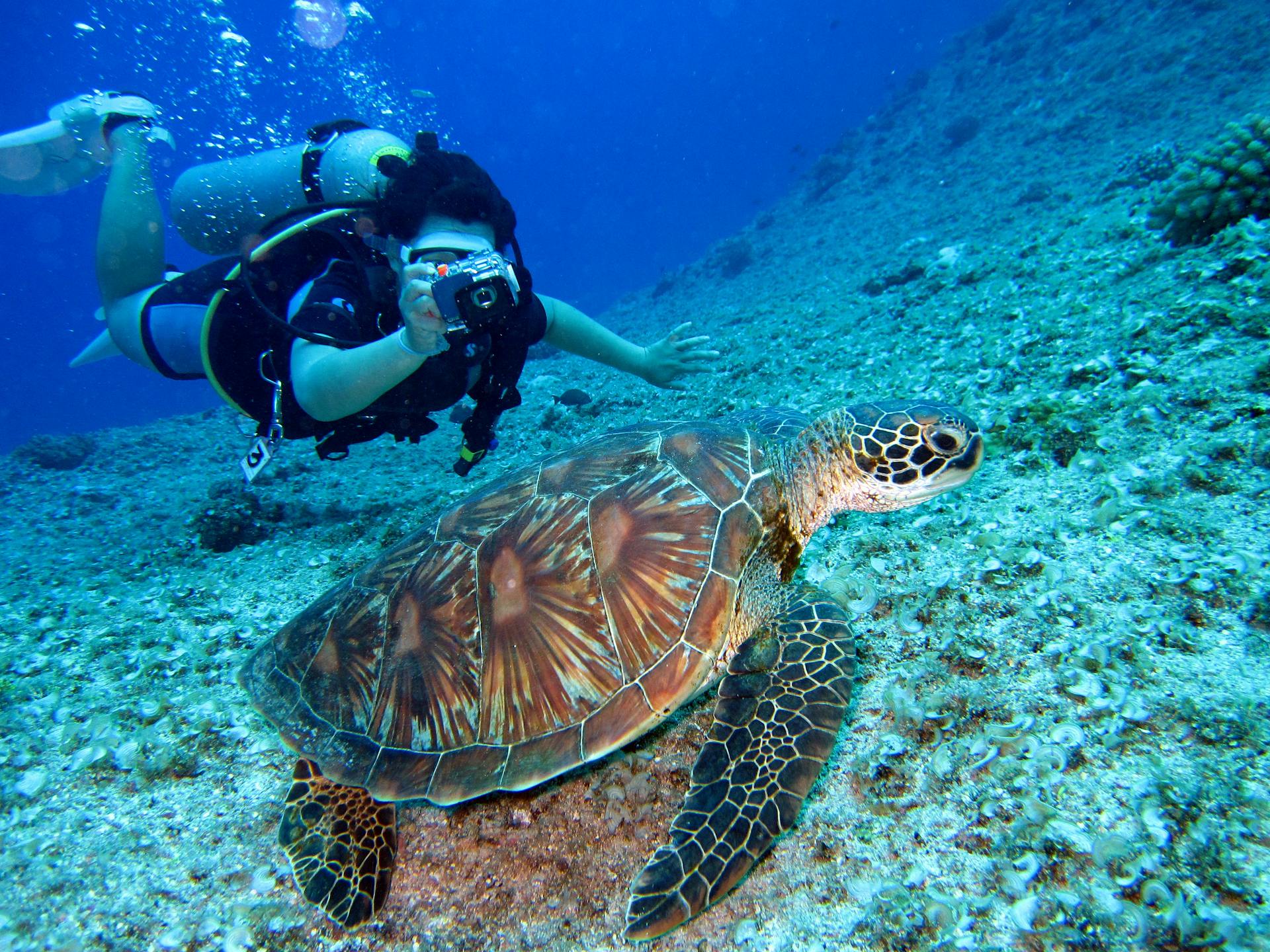 Raja Ampat Underwater Paradise